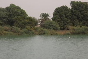 Other side of the river. Mauritanian forrest. Podor, Saint Louis - January 2015